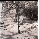 1965 war chronicles of insurmountable defence 1965 war chronicles of insurmountable defence