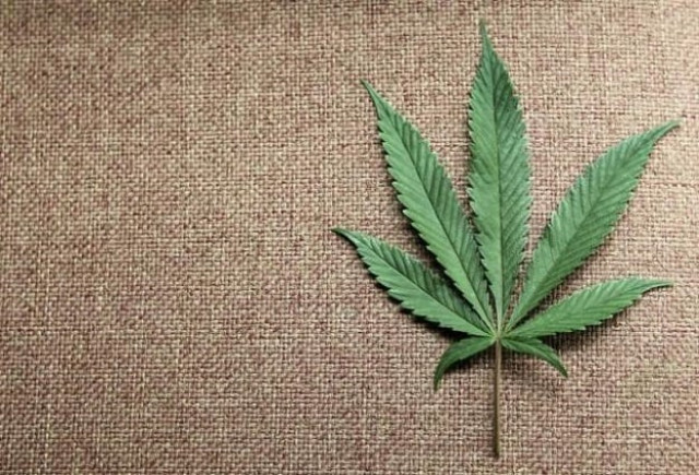 a marijuana leaf is displayed at canna pi medical marijuana dispensary in seattle washington photo reuters a marijuana leaf is displayed at canna pi medical marijuana dispensary in seattle washington photo reuters