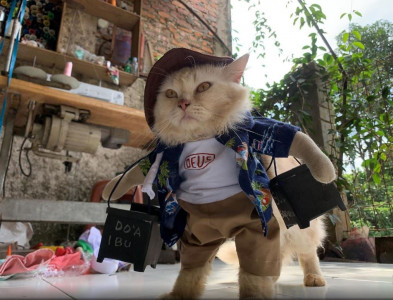 from hijabs to cosplay indonesian finds calling in cat fashion makeovers from hijabs to cosplay indonesian finds calling in cat fashion makeovers