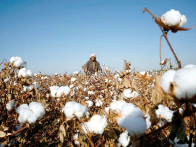 it was proposed that 5 regulatory duty may be removed on cotton yarn till june 30 2021 by the time the situation of cotton would be reviewed again photo reuters it was proposed that 5 regulatory duty may be removed on cotton yarn till june 30 2021 by the time the situation of cotton would be reviewed again photo reuters