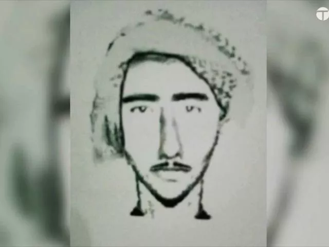 sketch of the suspected killer screen grab sketch of the suspected killer screen grab