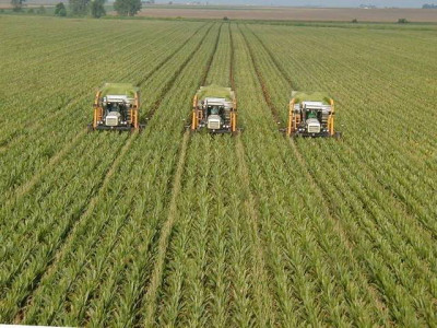 50 of population faces food insecurity