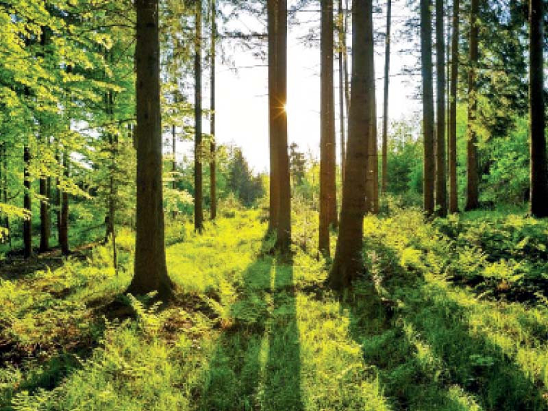 World Bank approves $120m for green initiative - Vimarsana News