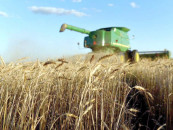 tech based agri revival must for economy