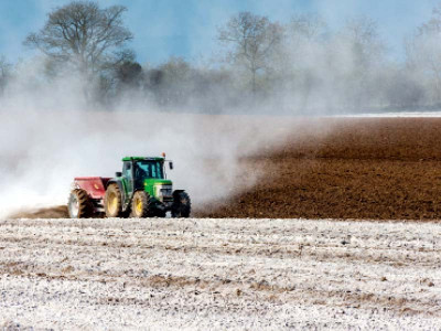 tax issues can cause urea price hike tax issues can cause urea price hike