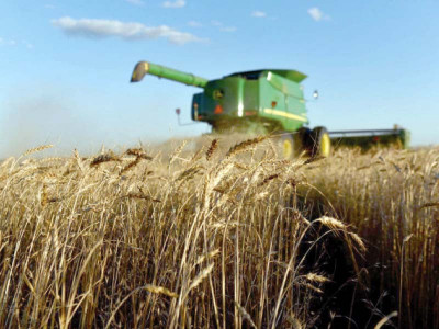 gilgit to be next agricultural hub gilgit to be next agricultural hub