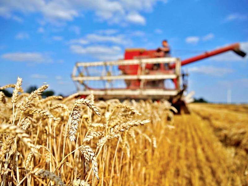 during the july may period of the just ended fiscal year pakistan imported 3 6m metric tons of wheat costing the cash starved country 983m according to pbs photo reuters