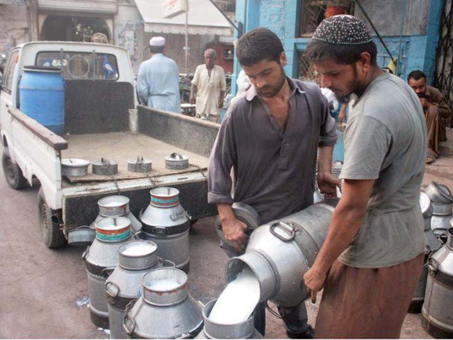 the government through its initiatives is looking to support the dairy market that caters to the consumers of processed milk photo express the government through its initiatives is looking to support the dairy market that caters to the consumers of processed milk photo express