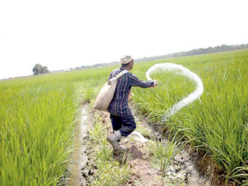 the fertiliser industry has made an investment of rs162 billion in capacity expansion and plant upgrade which has helped pakistan to become self sufficient in urea production photo file