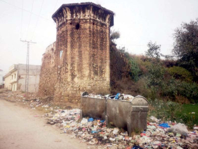 sarai kharbooza fading into oblivion