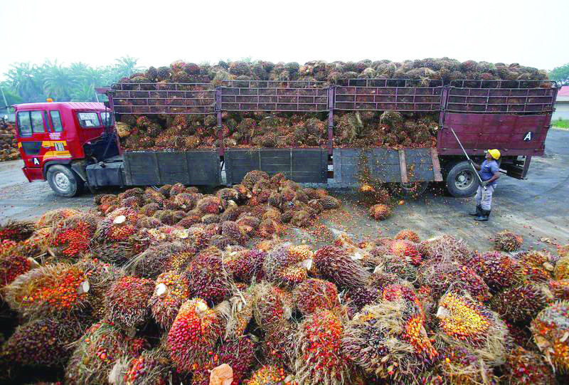 the meeting was told that prices of all items particularly wheat were much higher in balochistan as compared to other provinces photo reuters