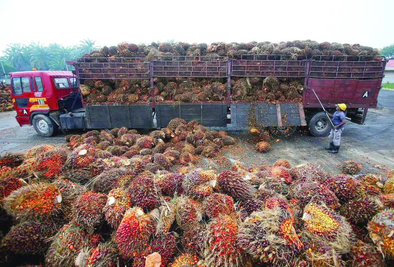 the meeting was told that prices of all items particularly wheat were much higher in balochistan as compared to other provinces photo reuters the meeting was told that prices of all items particularly wheat were much higher in balochistan as compared to other provinces photo reuters