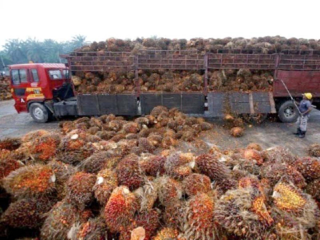 ndonesia has informed the federal minister that it would remove the ban on exports by the third week of may photo file ndonesia has informed the federal minister that it would remove the ban on exports by the third week of may photo file