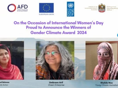 winners of gender climate award announced