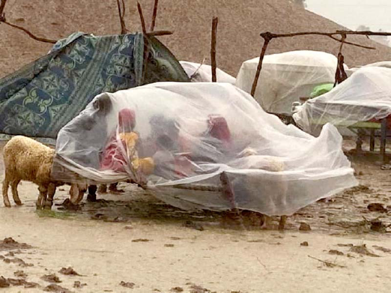 Photo of Waterborne diseases break out in rain-hit Sindh