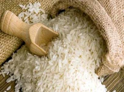indian rice shipments of 500 000 mt postponed