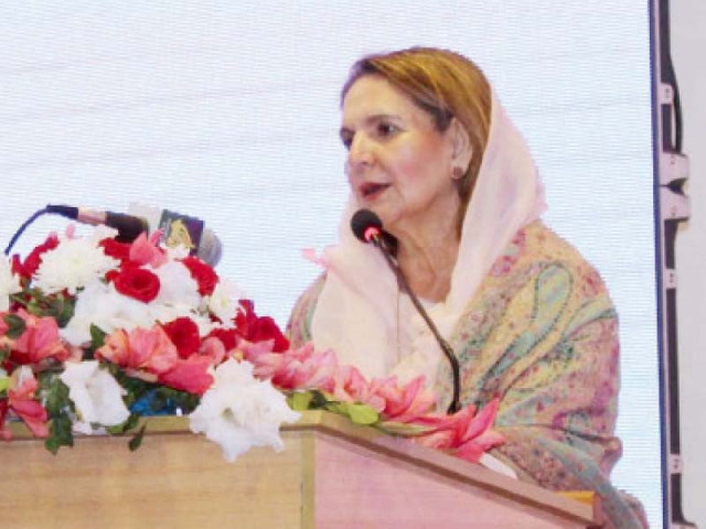 first lady begum samina alvi addresses a seminar photo app first lady begum samina alvi addresses a seminar photo app