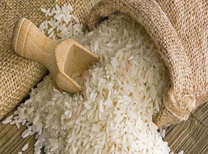 rice sector demands industry status