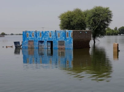 ecnec green lights rs194 6b flood protection project ecnec green lights rs194 6b flood protection project