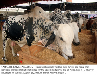 congo virus victim laid to rest