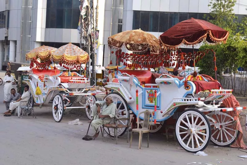embellished with flowers and various ornaments the buggy has garnered a growing appeal particularly at wedding ceremonies in the twin cities of islamabad and rawalpindi photo zafar aslam express embellished with flowers and various ornaments the buggy has garnered a growing appeal particularly at wedding ceremonies in the twin cities of islamabad and rawalpindi photo zafar aslam express