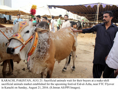 excessive bleeding congo virus claims life of afghan