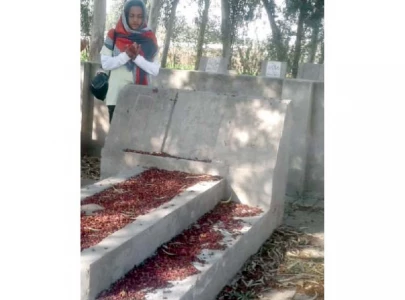 arfa karim nagar remains neglected