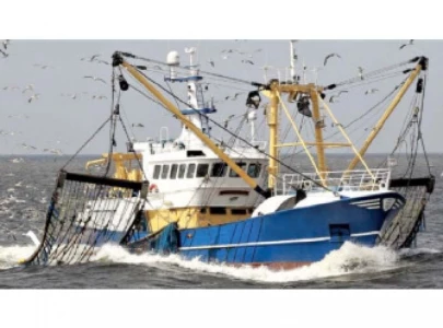 govt takes action against illegal fishing in gwadar govt takes action against illegal fishing in gwadar