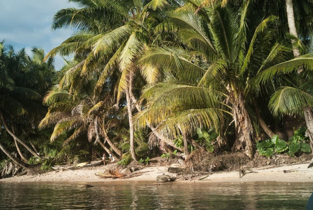 local mayor bessaou ismak ado crophe on the resort island of sainte marie told afp both bodies showed signs of head trauma with officials suspecting murder photo afp local mayor bessaou ismak ado crophe on the resort island of sainte marie told afp both bodies showed signs of head trauma with officials suspecting murder photo afp