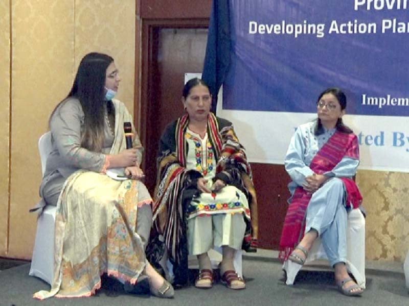 panelists discuss issues of trans people during a workshop organised by the nchr in cooperation with the usaid at a local hotel on tuesday photo express