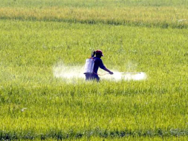 ecc could not decide whether to run the two fertiliser plants on imported gas from june or to shut them down photo file ecc could not decide whether to run the two fertiliser plants on imported gas from june or to shut them down photo file