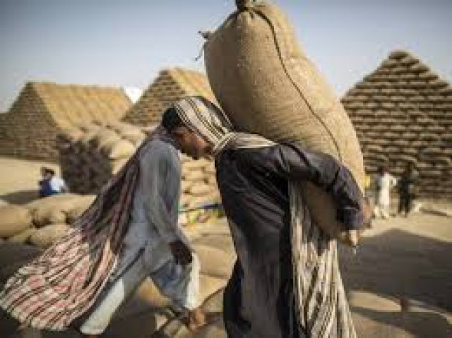 will send a summary for ecc s approval to protect domestic produce photo file will send a summary for ecc s approval to protect domestic produce photo file