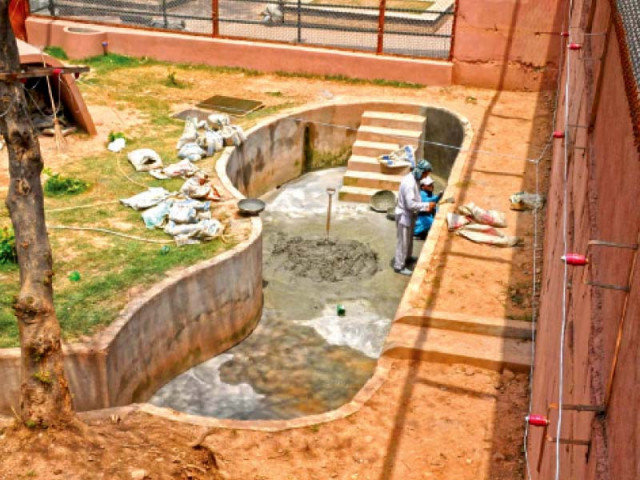 fans coolers and portable air conditioners are added to facilities being provided to caged animals photo agha mehroz fans coolers and portable air conditioners are added to facilities being provided to caged animals photo agha mehroz