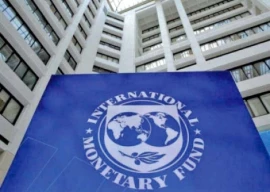 imf pours cold water on punjab s cheap power plan