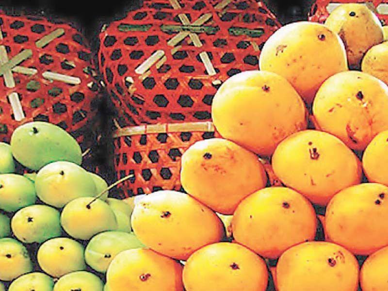 Mango production to fall by 20%
