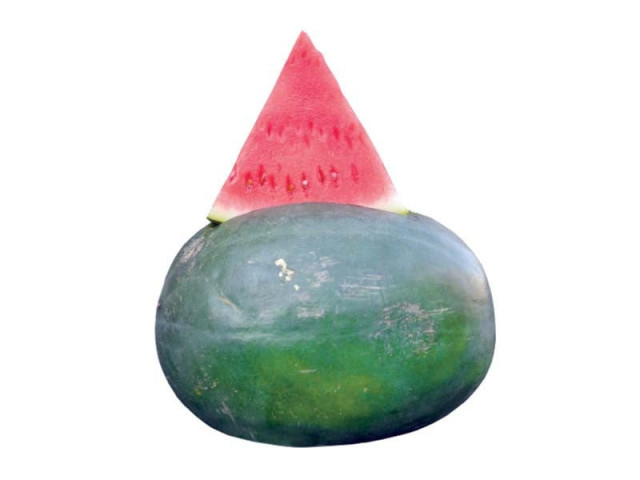 watermelon reduces cancer risk says nutritionist watermelon reduces cancer risk says nutritionist