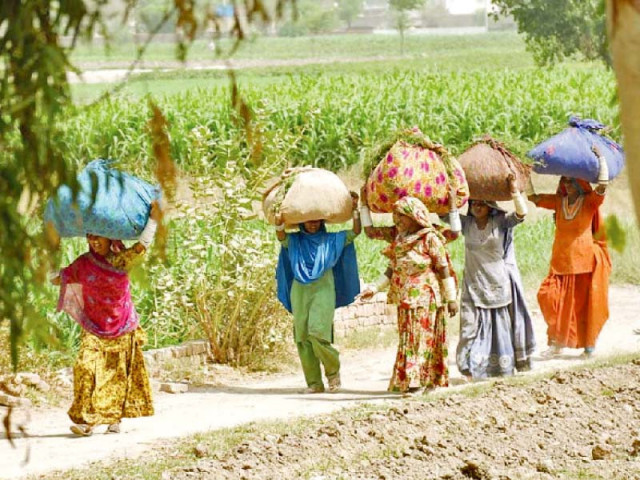 the number of people living in poverty has exceeded 100 million the highest in pakistan s history says former finance minister hafiz pasha photo file the number of people living in poverty has exceeded 100 million the highest in pakistan s history says former finance minister hafiz pasha photo file