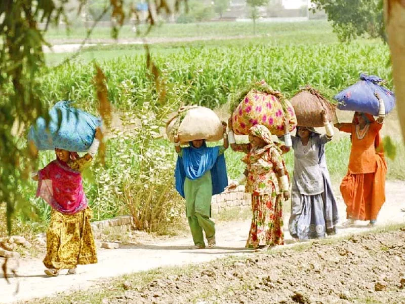 the number of people living in poverty has exceeded 100 million the highest in pakistan s history says former finance minister hafiz pasha photo file the number of people living in poverty has exceeded 100 million the highest in pakistan s history says former finance minister hafiz pasha photo file