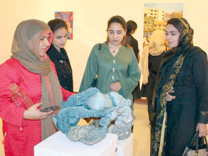 diverse artwork featuring various artists was showcased at the pakistan national council of arts in the federal capital photos express