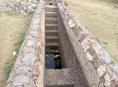 call for preserving suri era stepwell call for preserving suri era stepwell