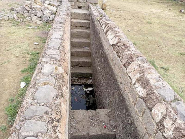call for preserving suri era stepwell