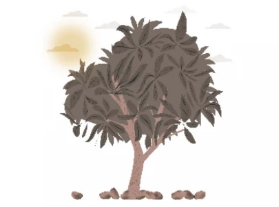 new policy jeopardises mango exports