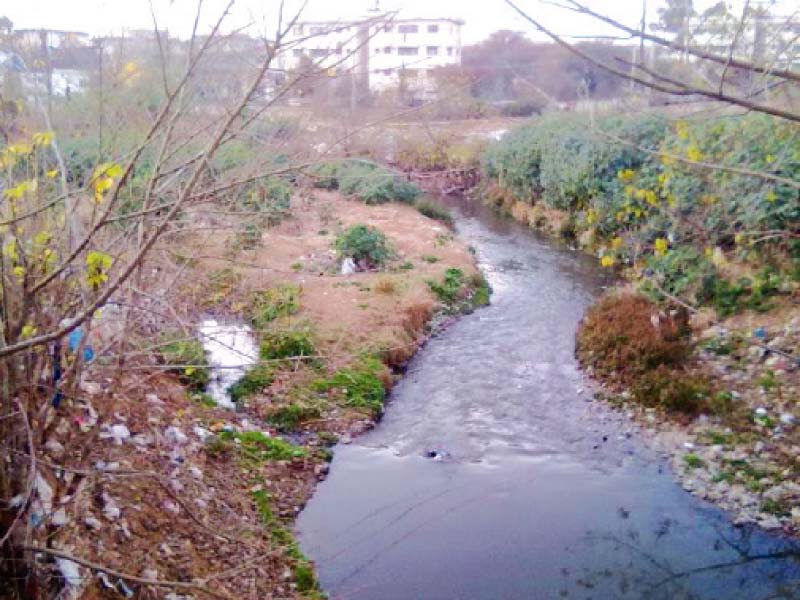 dumping of garbage and sewage into the capital s natural streams have spoiled the natural beauty of the city photo file