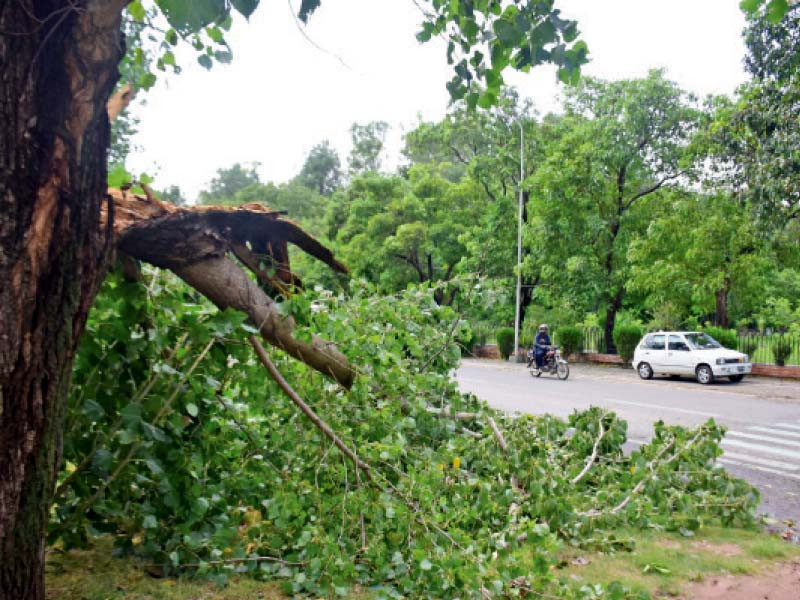 Thundershowers batter twin cities | The Express Tribune