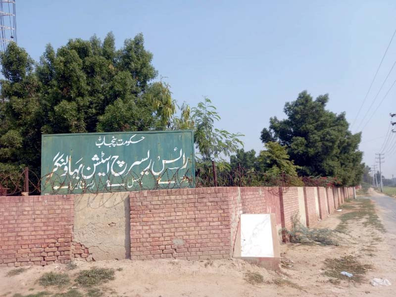 a rice research station in bahawalnagar stands despondent as no new breakthroughs have been made photo express