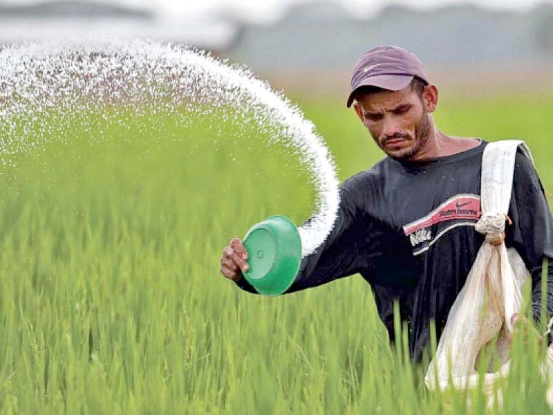 ECC okays up to 5% increase in urea prices