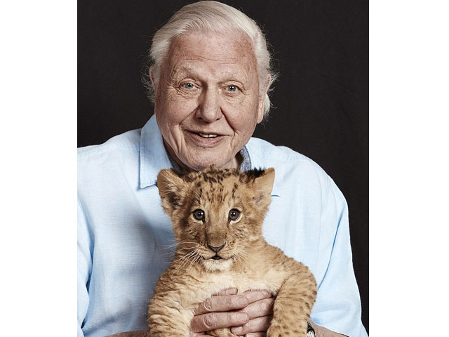 david attenborough poses with a lion cub for a radio times edition photo courtesy radio times