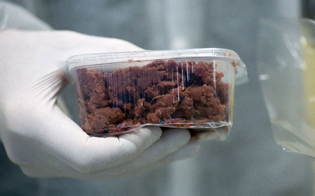 a sample of a meat product is seen in a laboratory to be dna tested on february 19 2013 in berlin photo afp