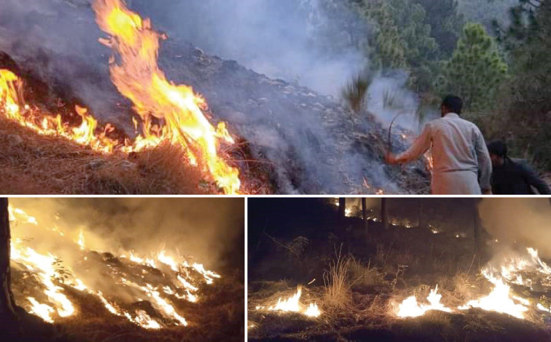 a huge fire that broke out in the forests of khanpur has turned at least half of the area into piles of ash photos express