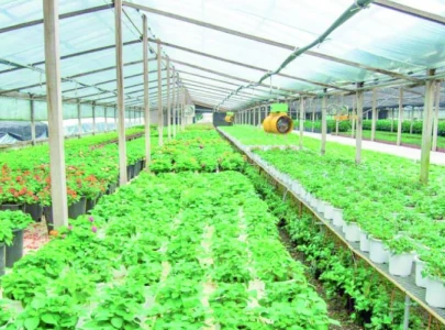 experts push for corporate farming experts push for corporate farming